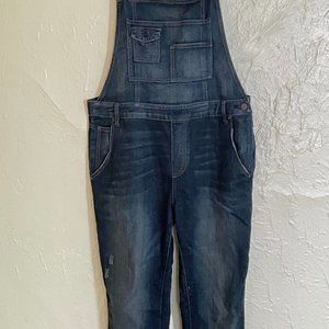 Free People Denim Overalls